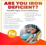 NaturesPlus Hema Plex - Gentle Iron Supplement with Vitamin C, Methyl B12, Folate - Blood Health, Immune Support, Energy - Vegan, Gluten Free - 30 Tablets - Image 4