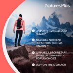 NaturesPlus Hema Plex - Gentle Iron Supplement with Vitamin C, Methyl B12, Folate - Blood Health, Immune Support, Energy - Vegan, Gluten Free - 30 Tablets - Image 5