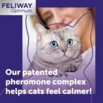 FELIWAY Optimum 30 Day Cat Calming Odourless Plug In Pheromone Diffuser Starter Kit, 48ml - Helps Solve Signs of Stress in Cats & Kittens, Veterinary Recommended, Drug-free, Clinically Proven - Image 3