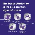 FELIWAY Optimum 30 Day Cat Calming Odourless Plug In Pheromone Diffuser Starter Kit, 48ml - Helps Solve Signs of Stress in Cats & Kittens, Veterinary Recommended, Drug-free, Clinically Proven - Image 4