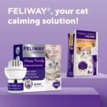 FELIWAY Optimum 30 Day Cat Calming Odourless Plug In Pheromone Diffuser Starter Kit, 48ml - Helps Solve Signs of Stress in Cats & Kittens, Veterinary Recommended, Drug-free, Clinically Proven - Image 5
