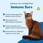 Pet Wellbeing Immune Sure for Cats - Supports Normal Immune Defenses, Gut Flora Balance, Andrographis, Echinacea, Vitamin C, Zinc - Veterinarian-Formulated Herbal Supplement 2 oz (59 ml) - Image 4