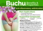 VITA PHARMA Buchu Leaf 2000mg 60 Capsules, Urinary Function, Natural Detox & Wellness, Digestive Comfort & Balance, Overall Body Wellness - Image 3