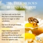 RAW POT - ORGANIC HONEYDEW HONEY WITH PROPOLIS - Natural Raw Pure Unpasteurised Honey Rich in Antioxidants for Immunity Support, Skin, Digestive Health | Smooth and Silky | For Kids And Adults (300g) - Image 7