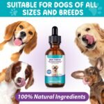 Milk Thistle for Dogs | 60ml Liquid Supplement with Curcumin & Omega-3s | Supports Normal Liver Function, Kidney Health, and Natural Immune Defences | Gentle Botanical Formula for Daily Vitality - Image 3