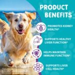 Milk Thistle for Dogs | 60ml Liquid Supplement with Curcumin & Omega-3s | Supports Normal Liver Function, Kidney Health, and Natural Immune Defences | Gentle Botanical Formula for Daily Vitality - Image 4