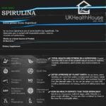 250g UKHealthHouse Pure Premium Spirulina Powder x 250g - 62.3% Protein - Cleanse & Detox - Image 5