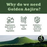 Golden Aojiru Green Superfood Powder – Japanese Barley Grass Juice with 25+ Vegetables, Prebiotic & Enzymes – Gluten Free, Green Juice – 46pcs - Image 5