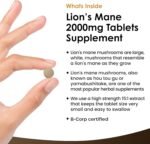 Lions Mane Mushroom 2000mg - 365 High Strength Vegan Tablets - Lion's Mane Supplement with Black Pepper - Lion's Mane Mushrooms Extract (Not Powder or Capsules) Made in The UK by New Leaf Products - Image 3
