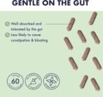 Higher Nature - Gentle Iron Complex - Supports Energy, Cognitive Function & Normal Immune Function - Gentle On The Gut - Gluten Free - Vegan & Vegetarian - 60 Capsules - Image 4