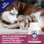 Dorwest Raspberry Leaf Tablets for Dogs And Cats, 100 Tablets, Pregnancy Support For Pets – For Natural Hormonal Balance and Phantom Pregnancies - Image 4