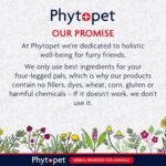 Phytopet Aqua, All Natural Cat and Dog Bladder Control for Small Pets, Fast-Acting Herbal Pet Remedy 30ml - 100% Herbal Phytopet Pet Supplies - Image 7