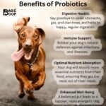 Probiotics For Dogs | 2 Billion CFU | Soothe Itchy Skin, Digestion, Waxy Ears, | Imrpove Gut Health, Wind | 120 Tablets - Image 3