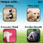 Probiotics For Dogs | 2 Billion CFU | Soothe Itchy Skin, Digestion, Waxy Ears, | Imrpove Gut Health, Wind | 120 Tablets - Image 4