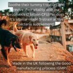 Probiotics For Dogs | 2 Billion CFU | Soothe Itchy Skin, Digestion, Waxy Ears, | Imrpove Gut Health, Wind | 120 Tablets - Image 5