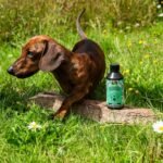 Proflax Immunity & Vitality 100ml - Image 3