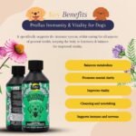 Proflax Immunity & Vitality 100ml - Image 5
