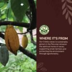 NutriCraft Organic Cacao Nibs - 1kg, 75% Criollo Cacao Beans, Made from Aromatic Beans, Superfood for Smoothies & Baking, Chocolate Making, High Nutrient, Rich Antioxidants - Image 5
