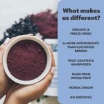 LOOV Wild Blueberry Powder Organic, Wild-Crafted from Nordic Forests, 100% Whole Fruit Bilberry, 15-Day Supply, 91 g, Freeze-Dried and Powdered Blueberries, No Added Sugar - Image 4