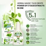 Herbal Magic's Pure and Natural Panch Tulsi Drops-Extract of Five Types of Holy Basil - Shyam,Shwet, Sursa,Nimbu &VanTulsi-Most Revered in Ayurveda-Liquid/Drops 30ml (Pack of 1) - Image 5