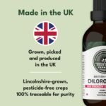Liquid Chlorophyll Drops for Water - British-Grown Chlorophyll - High Strength Chlorophyll Liquid 6000mg - Made in UK - 2 Month Supply - Image 3