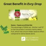 Premium Senna Leaves and Fruit Laxative with Herbal Chinese Diet Asian Slim Tea for Constipation Relief and Colon Cleanse - GT Fruits & Herbs (12 Count Pack of 240) - Image 3