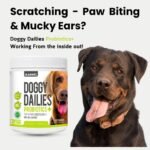 Doggy Dailies Probiotics for Dogs - Canine Supplements for Digestive and Immunity Support - Skin Health and Itch Support - Vitamin Treats - Veterinarian Formulated Probiotic - Image 3