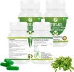 Tulsi (Ocimum Sanctum) Capsule | Pack of 60 x 500 MG. Vegetarian Capsules | Natural Herbal Supplement | GMP Certified | Gluten Free | Pack of 4| - Image 3
