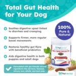 High Fibre Probiotics for Dogs and Cats - Premium Fiber Powder Supplement for Dogs, Anal Glands, Gut Health, CoQ10, Vitamin C for Digestion, Oral Care, Heart Support - 500 Grams - Image 3
