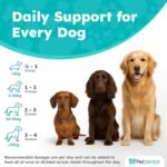 High Fibre Probiotics for Dogs and Cats - Premium Fiber Powder Supplement for Dogs, Anal Glands, Gut Health, CoQ10, Vitamin C for Digestion, Oral Care, Heart Support - 500 Grams - Image 5