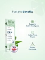 “The Big Chill” Calm Patch with Ashwagandha, Valerian, Rhodiola, Vitamin B6 & Passion Flower for Stress & Relaxation Support – 15 Patches – Vegan – Made in UK - Image 3