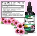 Natural's Answer EcinacceRoot, 1000mg, Alcoho-Free, 120 ml - Image 4