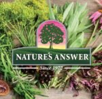 Natural's Answer EcinacceRoot, 1000mg, Alcoho-Free, 120 ml - Image 6