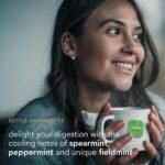 Pukka Herbs | Three Mint Organic Herbal Tea Box | Tea Infusion With Spearmint, Peppermint, Fieldmint | Ideal For Digestion | Sleep | Caffeine Free | 4 Packs | 80 Plant Based Biodegradable drink - Image 5