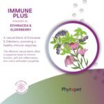Phytopet Immune Plus, Immune Support for Dogs, Cats, Birds and Horses, Easy to Use Herbal Supplements for Pets, 100ml - 100% Herbal Phytopet Pet Supplies - Image 4