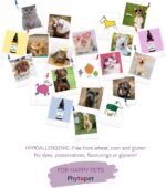 Phytopet Immune Plus, Immune Support for Dogs, Cats, Birds and Horses, Easy to Use Herbal Supplements for Pets, 100ml - 100% Herbal Phytopet Pet Supplies - Image 6