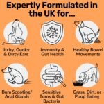 NutriPaw Pre, Pro & Postbiotic Digestive Treats For Dogs - Gut Health, Sensitive Tums, Anal Glands, Scooting, Loose Stools, Smelly, Itchy Ears, Great for all dogs - Image 3