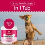 Probiotic Chews for Dogs – Supports Gut Health, Immune System, and Digestion, Healthy Dog Treats with Pumpkin, Vitamins, and Prebiotics - 120 Soft Chews - Image 7