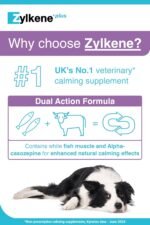 Zylkene Plus Calming Supplement for Large Dogs (30kg-60kg) 450mg | Promotes Relaxation in long-term challenging situations: New Baby, Home Alone, Moving house | Easily administered | 30 capsules - Image 4