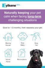 Zylkene Plus Calming Supplement for Large Dogs (30kg-60kg) 450mg | Promotes Relaxation in long-term challenging situations: New Baby, Home Alone, Moving house | Easily administered | 30 capsules - Image 5