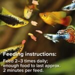 King British – Tropical Fish Flake 12g – Multi-Vitamin Complete Food – Clear Water Formula Natural Ingredients – For Tropical & Other Aquarium Fish - Image 4
