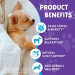 Melatonin for Dogs & Cats - Natural Sleep Support & Calming Aid with Ashwagandha & L-Theanine - Bacon Flavour Liquid Drops for Relaxation, Travel & Noise Stress - 60ml - Image 4