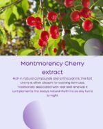 Nighttime Nutrient Blend, Vegan Capsules, Magnesium Glycinate, L-Glycine, Montmorency Cherry, Chamomile, Sleep Support - Image 6