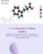 Nighttime Nutrient Blend, Vegan Capsules, Magnesium Glycinate, L-Glycine, Montmorency Cherry, Chamomile, Sleep Support - Image 7