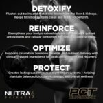 PCT UltraMax for Men Premium Grade PCT Post Cycle Supplement Supports Liver and Kidney Function 1 Month Course 120 Vegan Capsules - Image 4