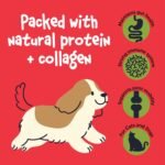 Broth Co. Beef Bone Broth for Dogs 100g – Rich in Collagen, Glucosamine & Chondroitin - Natural Grain-Free Dog Food Topper & Hydrator - Joint, Gut & Immune Health Dog Gravy - Image 5