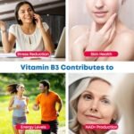Health4All Vitamin B3 Niacin as Nicotinamide (Niacinamide) 500mg 180 Capsules, Purest, No Additives, Vegan, Gluten Free No-Flush Niacin Vitamin B3 Capsules | Made in UK - Image 4