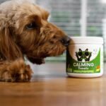 NutriPaw Calming, Multi-Vitamin Bundle - Soft Chews Reducing Anxiety, Stress, Fear, Reactivity - Non-Drowsy - Support Brain, Heart, Skin, Coat, Immunity, Digestion, Joints & Energy- Great for all dogs - Image 4