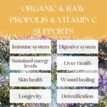 Organic Propolis Spray with Vitamin C from Rosehip - Alcohol-Free Pure Natural Raw Bee Propolis Liquid Extract for Sore Throat, Skin Care, Immunity Support Supplement | Kids & Adults (30ml) - Image 4