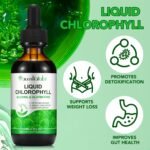 Liquid Chlorophyll Drops, 60ML Natural Chlorophyll for Internal Detox & Cleanes, Energy Booster, Digestion Supports Mint Flavour - Image 3